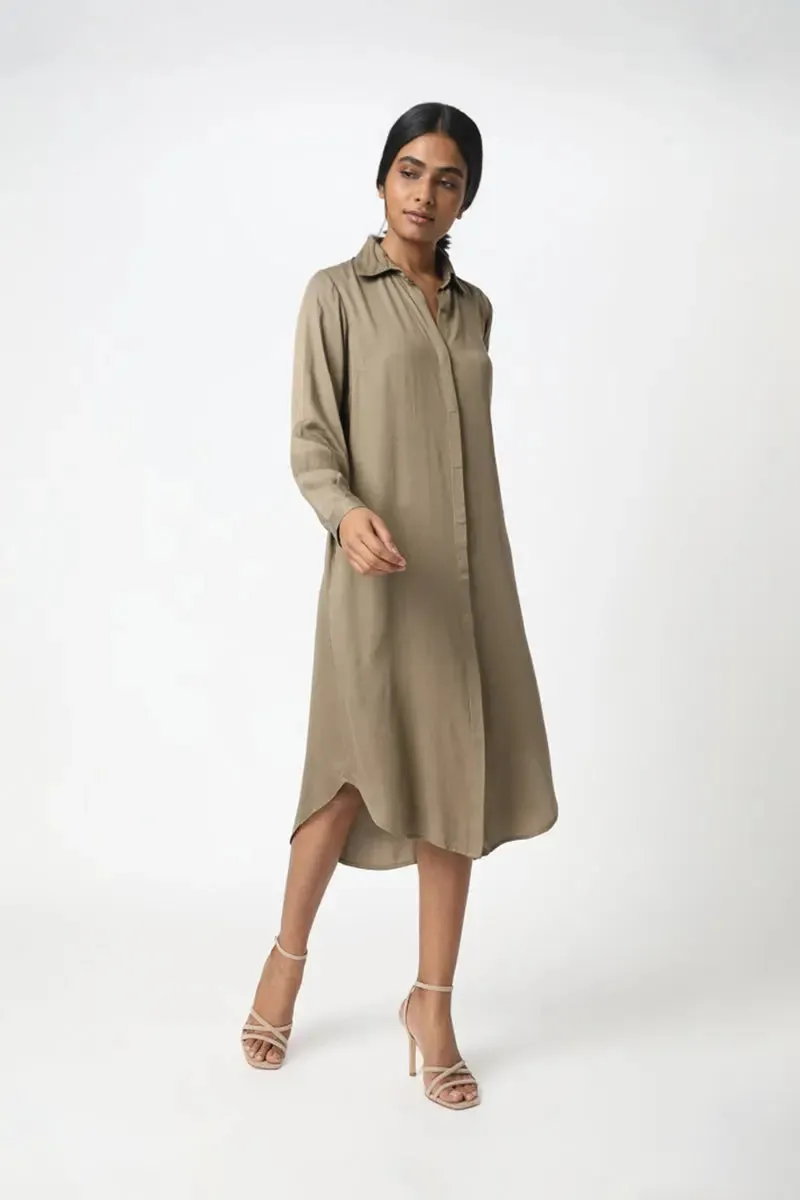 Essential Shirt Dress