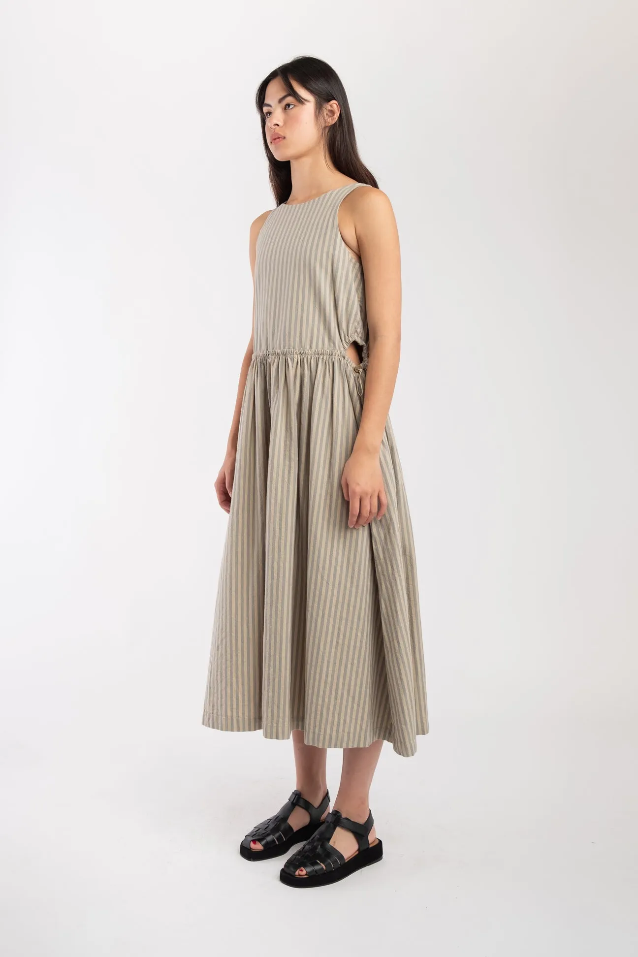 Muted Stripe Cinch Dress